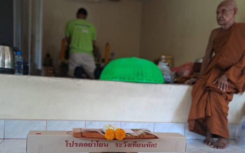 516855076_1222248403246166_7404235110004175200_n