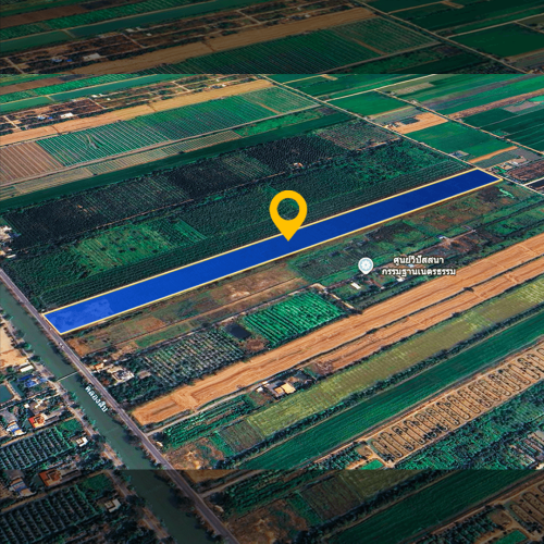 ที่ดินเปล่าปทุม